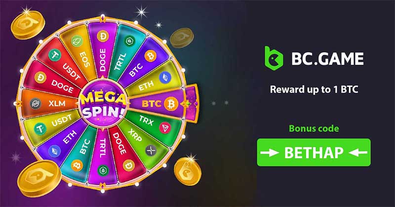 Découvrez l'univers captivant de BC FUN FR