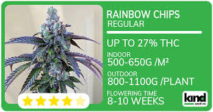 Ultimate Guide to Marijuana Seeds Everything You Need to Know Ultimate Guide to Marijuana Seeds Everything You Need to Know