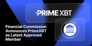 Comprehensive Guide to Trading on the Platform PrimeXBT
